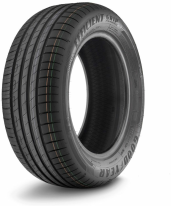 GOODYEAR EFFICIENTGRIP PERFORMANCE 225/55 R16 95W